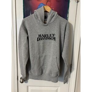 Harley Davidson Mens Gray Embroidered Logo Pullover Hoodie Sweatshirt Small y2k